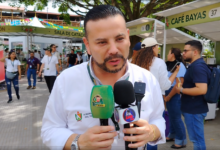 violencia