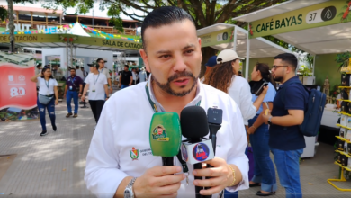 violencia