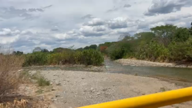 Si siguen bajando los ríos, Cortolima podría modificar el uso productivo del agua 2
