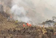 “Más de 10.000 hectáreas se perdieron”: Ortega enfrenta el golpe de los incendios y pide ayudas urgentes para el campo 8