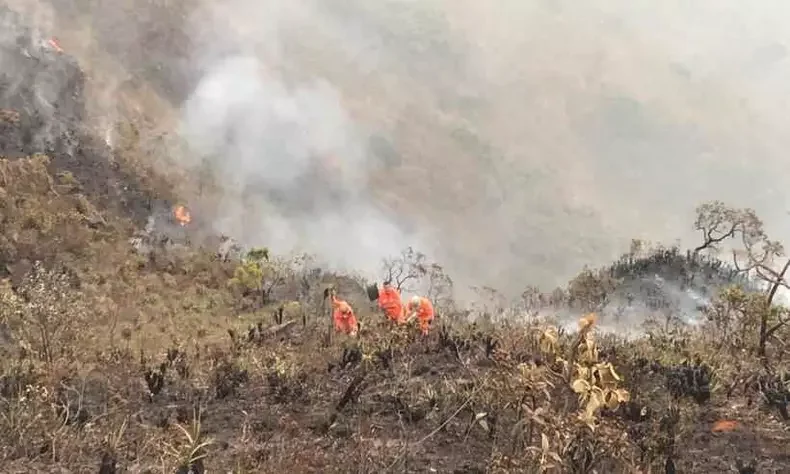 “Más de 10.000 hectáreas se perdieron”: Ortega enfrenta el golpe de los incendios y pide ayudas urgentes para el campo 1