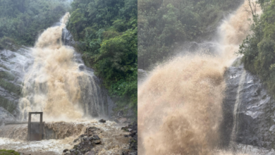 lluvias