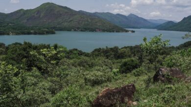Embalse de Prado sube 7,46 puntos y alcanza 42,80 % de volumen útil 14