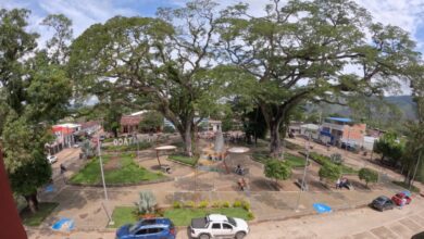 Procuraduría alerta riesgos para la población civil y exige protección inmediata en Ataco, Tolima 2