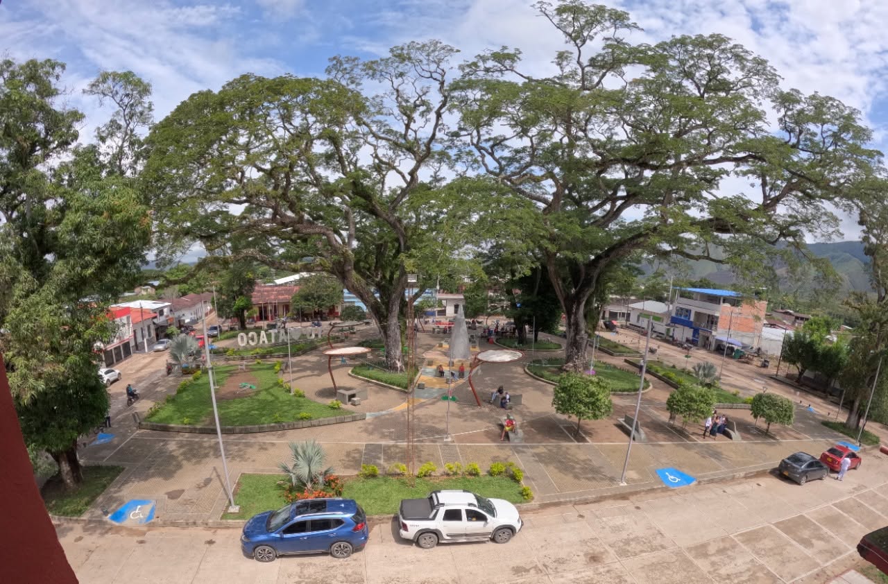 Procuraduría alerta riesgos para la población civil y exige protección inmediata en Ataco, Tolima 1