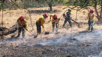 Contratación de bomberos en Tolima alcanza hasta el 80% 2