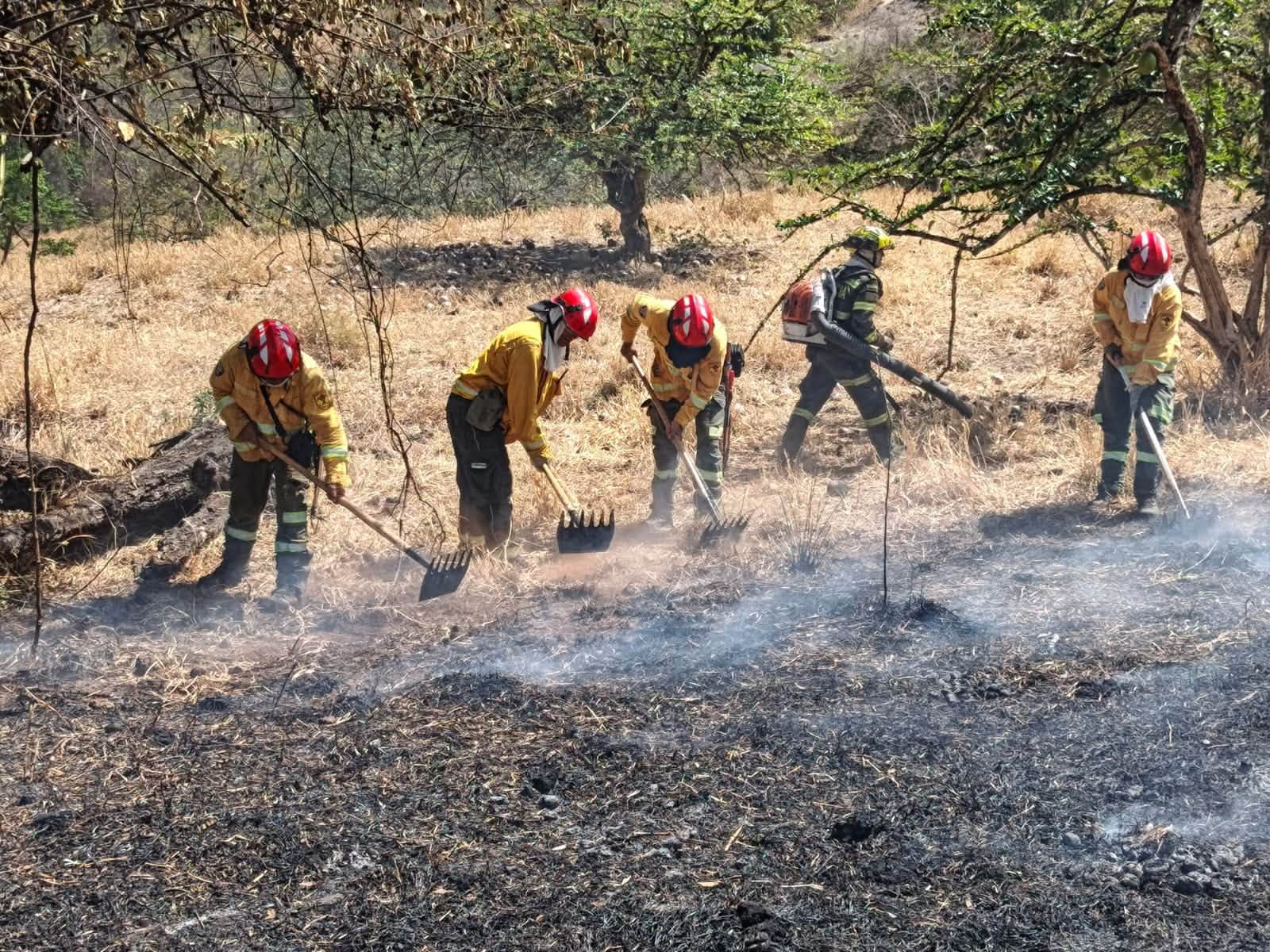 Contratación de bomberos en Tolima alcanza hasta el 80% 1