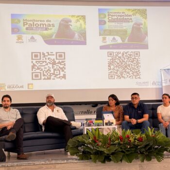 Ibagué inicia nueva fase para controlar la presencia de 6.234 palomas en espacios públicos 5
