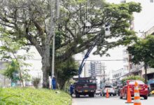 Avanza instalación del alumbrado navideño en la carrera Quinta de Ibagué 7