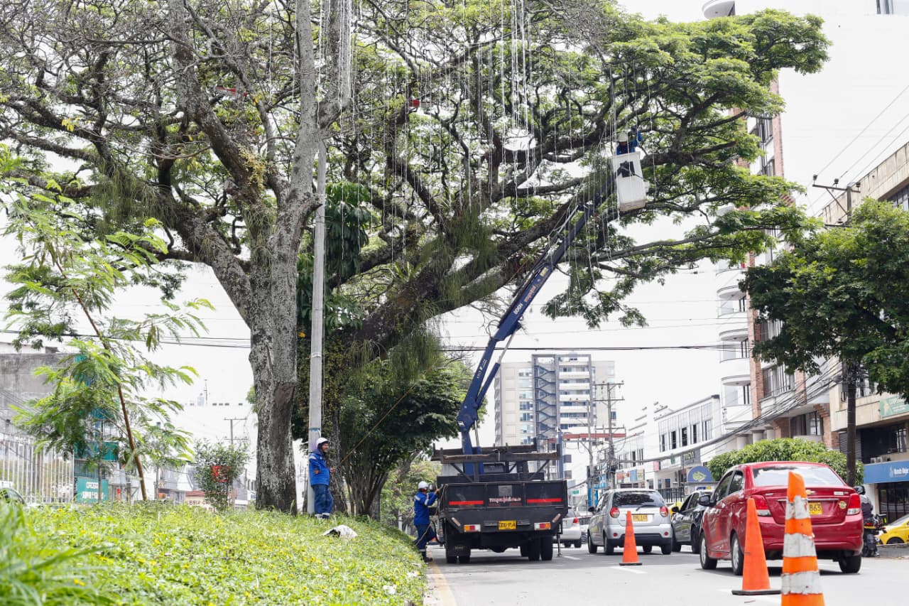 Avanza instalación del alumbrado navideño en la carrera Quinta de Ibagué 1