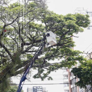 Avanza instalación del alumbrado navideño en la carrera Quinta de Ibagué 3