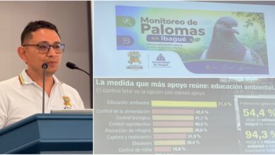 Ibagué busca controlar la proliferación de palomas tras detectar posibles riesgos para la salud 1