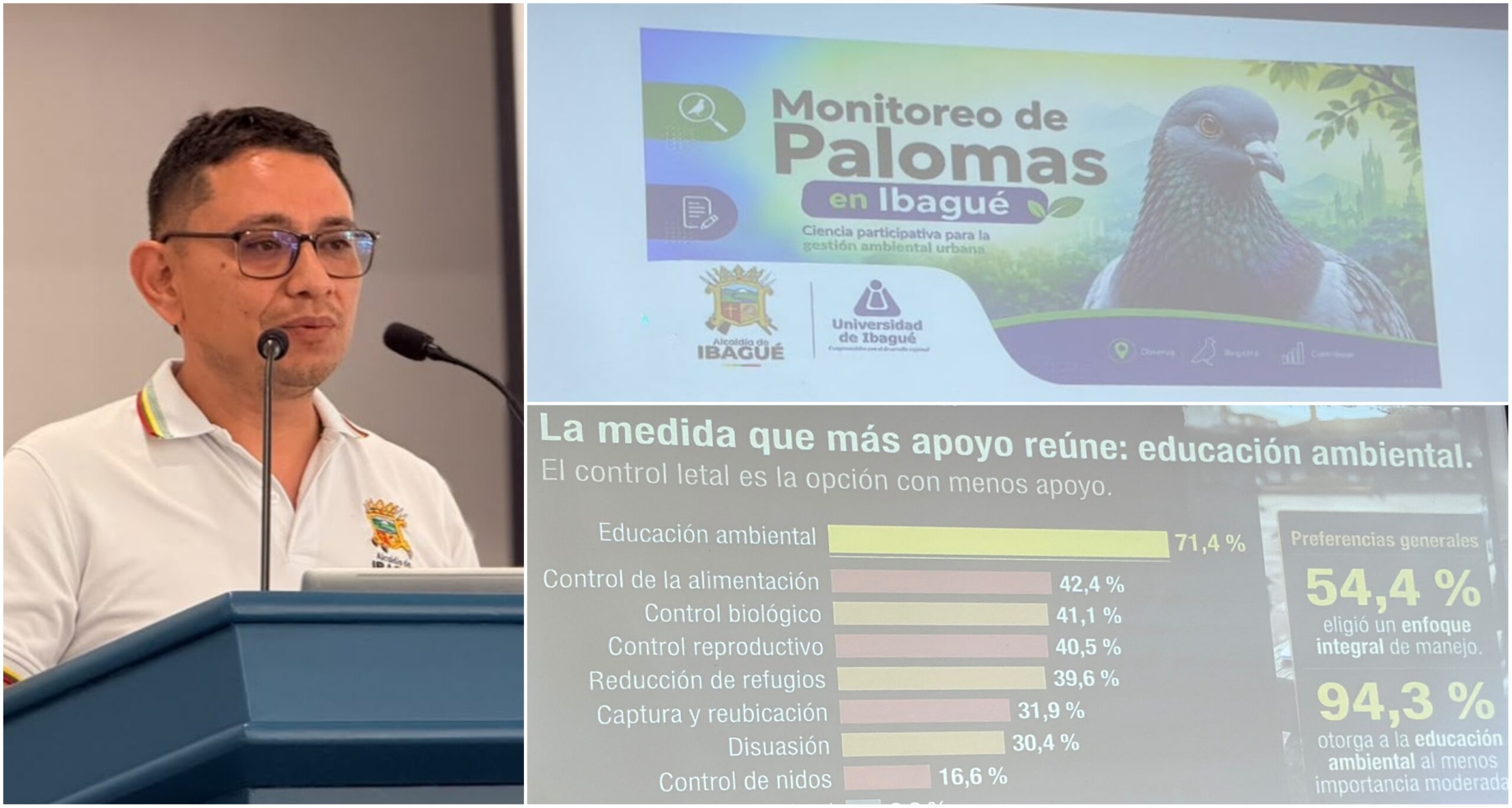 Ibagué busca controlar la proliferación de palomas tras detectar posibles riesgos para la salud 1