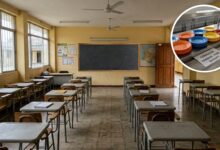 Tolima suspende clases este miércoles por paro nacional: tampoco habrá alimentación ni transporte escolar 12